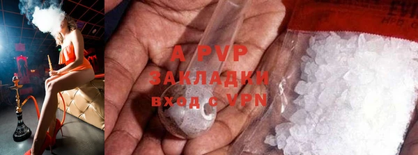 крисы Богданович