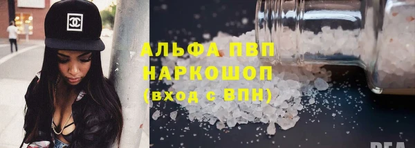 молекула духа Богородицк