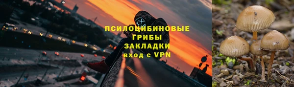 молекула духа Богородицк