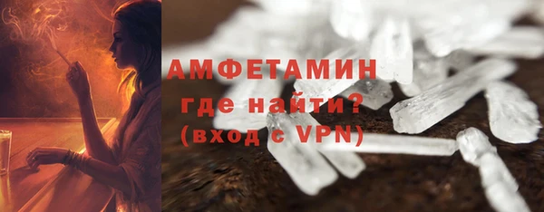 молекула духа Богородицк
