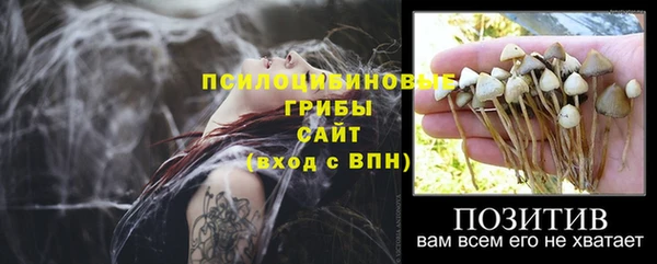 молекула духа Богородицк