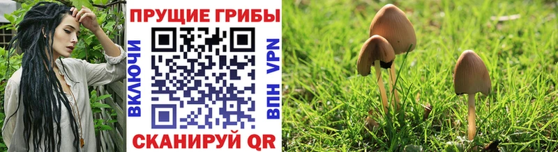 Галлюциногенные грибы мицелий  Тотьма 